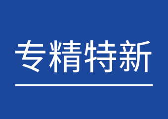 专精特新